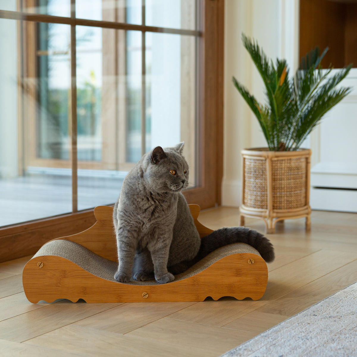 Tekturowy drapak dla kota Sofa 60 cm – zdjęcie 6