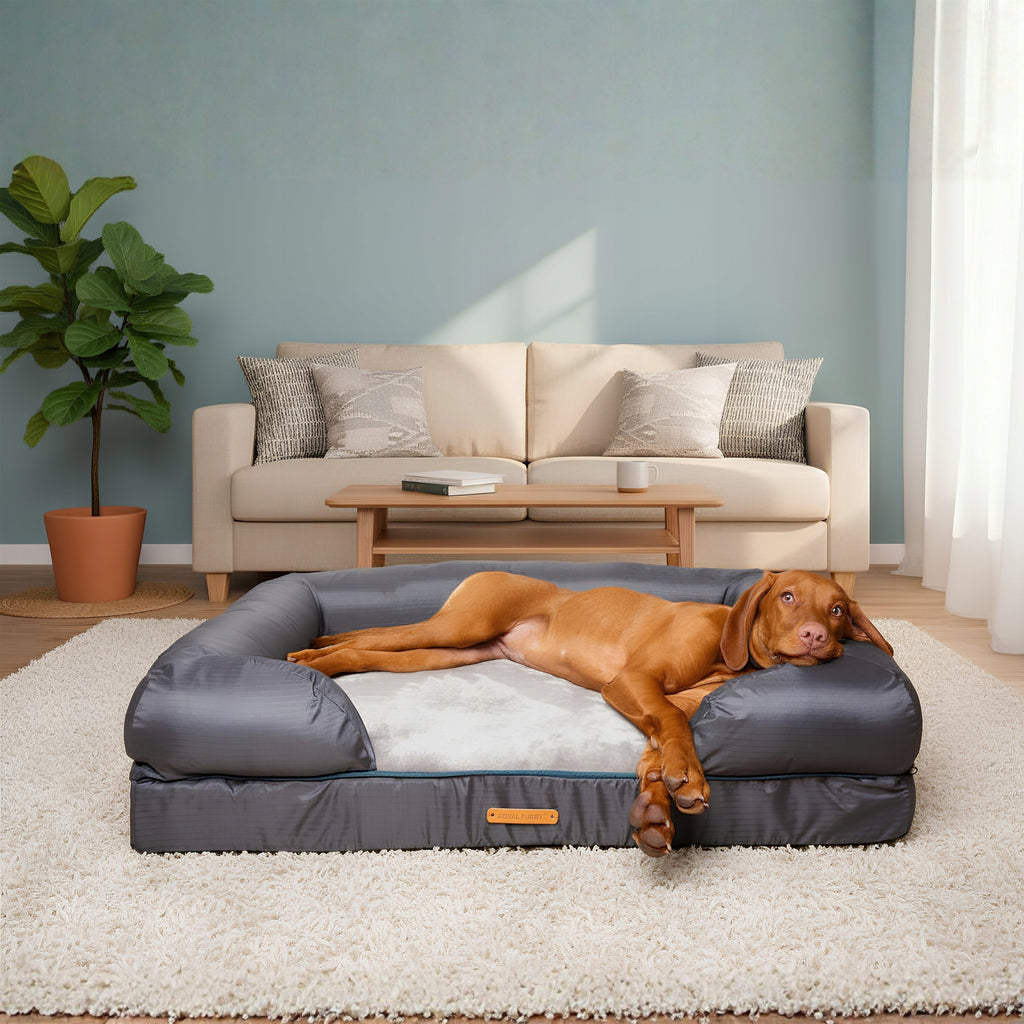 Legowisko ortopedyczne Comfort – zdjęcie 17